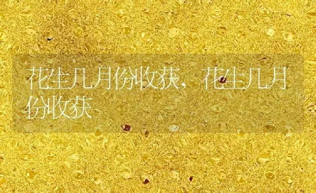 花生几月份收获,花生几月份收获 | 养殖常见问题