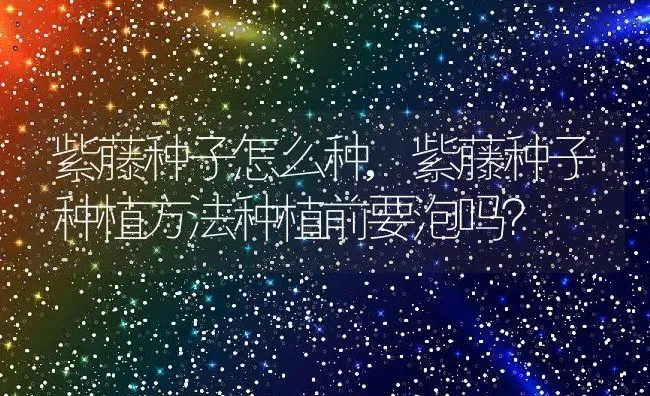 紫藤种子怎么种,紫藤种子种植方法种植前要泡吗？ | 养殖常见问题