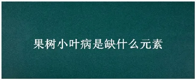 果树小叶病是缺什么元素 | 三农问答