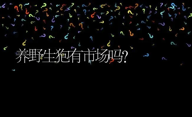 养野生狍有市场吗? | 养殖问题解答