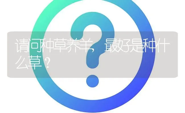 请问种草养羊,最好是种什么草? | 养殖问题解答