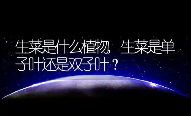 生菜是什么植物,生菜是单子叶还是双子叶？ | 养殖常见问题