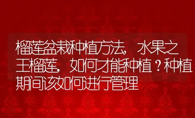 榴莲盆栽种植方法,水果之王榴莲，如何才能种植？种植期间该如何进行管理 | 养殖常见问题