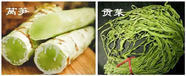 莴笋和贡菜的区别图片 | 科普知识