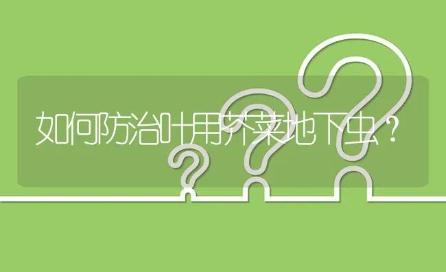 如何防治叶用芥菜地下虫? | 养殖问题解答