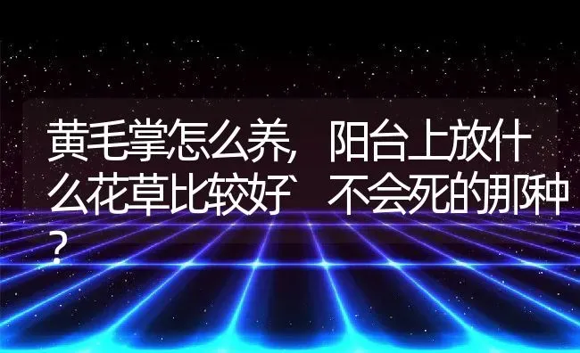 黄毛掌怎么养,阳台上放什么花草比较好`不会死的那种？ | 养殖常见问题