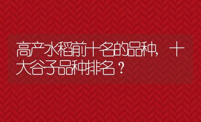 高产水稻前十名的品种,十大谷子品种排名？ | 养殖常见问题