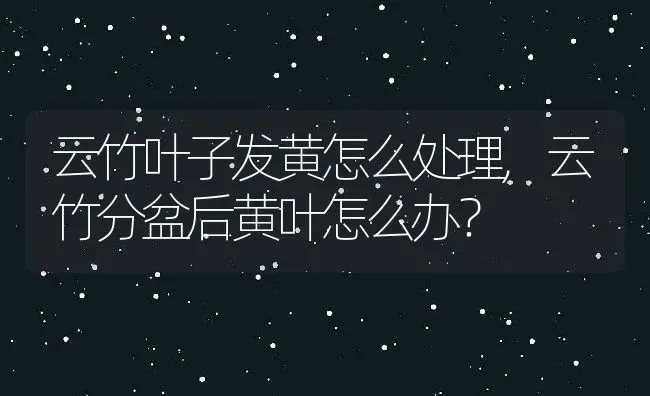 云竹叶子发黄怎么处理,云竹分盆后黄叶怎么办？ | 养殖常见问题