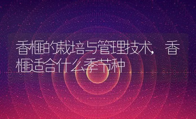 香榧的栽培与管理技术,香榧适合什么季节种 | 养殖常见问题