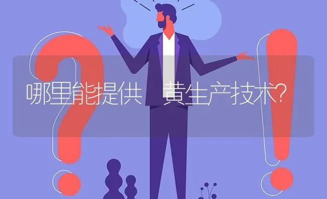 哪里能提供韮黄生产技术? | 养殖问题解答