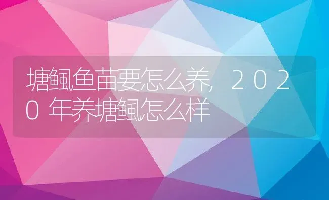 塘鲺鱼苗要怎么养,2020年养塘鲺怎么样 | 养殖常见问题