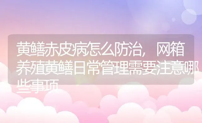 黄鳝赤皮病怎么防治,网箱养殖黄鳝日常管理需要注意哪些事项 | 养殖常见问题