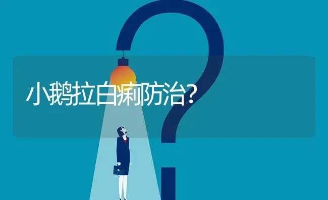 小鹅拉白痢防治? | 养殖问题解答