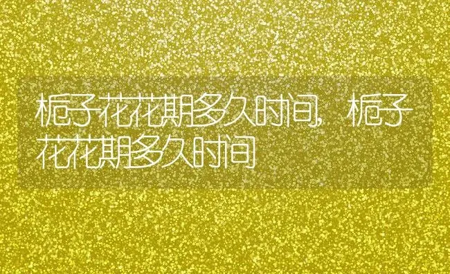 栀子花花期多久时间,栀子花花期多久时间 | 养殖常见问题
