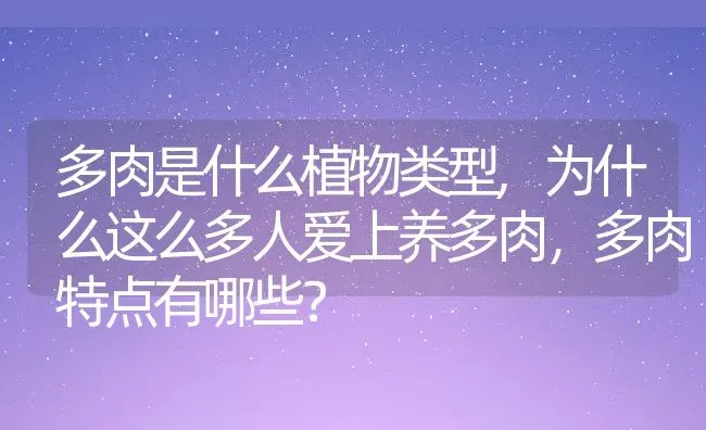 多肉是什么植物类型,为什么这么多人爱上养多肉，多肉特点有哪些？ | 养殖常见问题