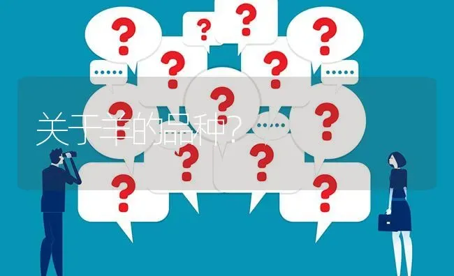 关于羊的品种? | 养殖问题解答