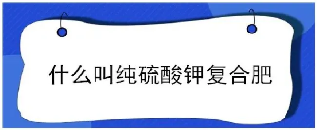 什么叫纯硫酸钾复合肥 | 三农答疑