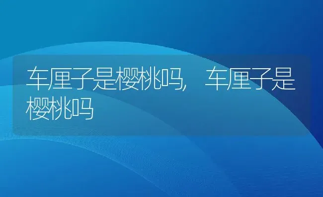 车厘子是樱桃吗,车厘子是樱桃吗 | 养殖常见问题