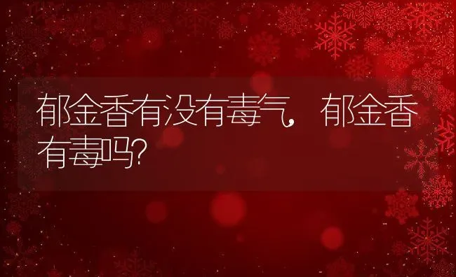 郁金香有没有毒气,郁金香有毒吗？ | 养殖常见问题