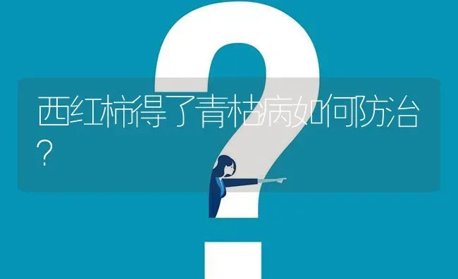 西红柿得了青枯病如何防治? | 养殖问题解答