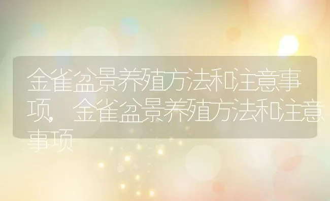 金雀盆景养殖方法和注意事项,金雀盆景养殖方法和注意事项 | 养殖常见问题