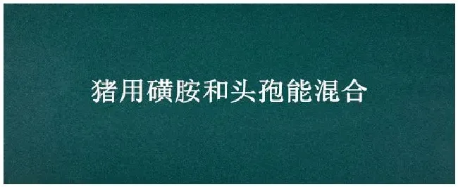 猪用磺胺和头孢能混合 | 农业问题