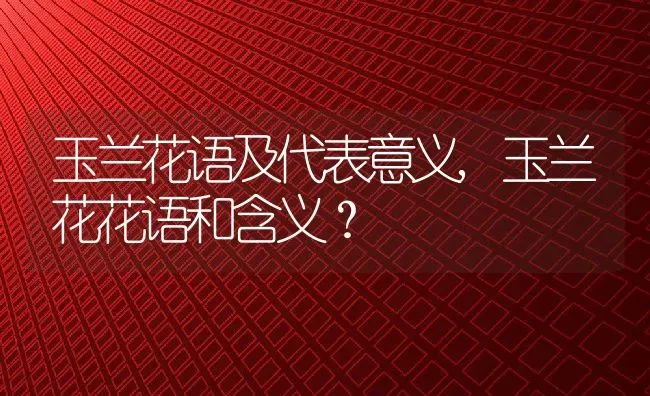 玉兰花语及代表意义,玉兰花花语和含义？ | 养殖常见问题