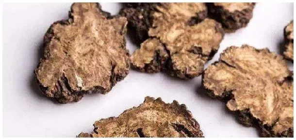 川芎亩产量多少斤 | 农业常识