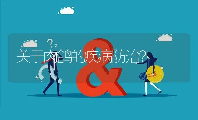 关于肉鸽的疾病防治? | 养殖问题解答