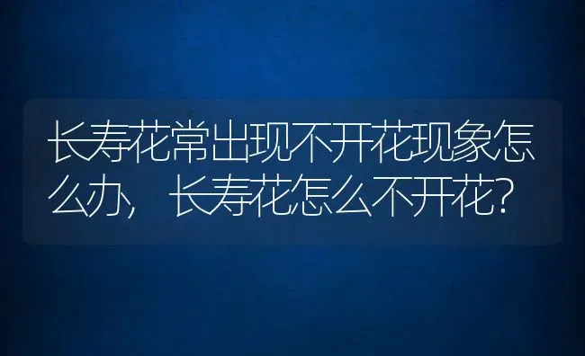 长寿花常出现不开花现象怎么办,长寿花怎么不开花？ | 养殖常见问题