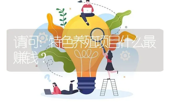请问：特色养殖项目什么最赚钱? | 养殖问题解答