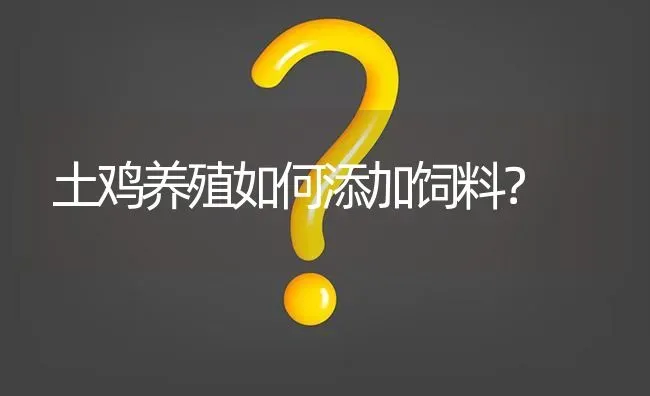 土鸡养殖如何添加饲料? | 养殖问题解答