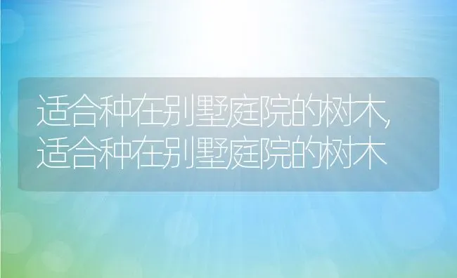 适合种在别墅庭院的树木,适合种在别墅庭院的树木 | 养殖常见问题