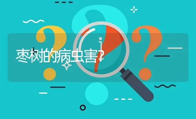 枣树的病虫害? | 养殖问题解答