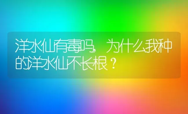 洋水仙有毒吗,为什么我种的洋水仙不长根？ | 养殖常见问题