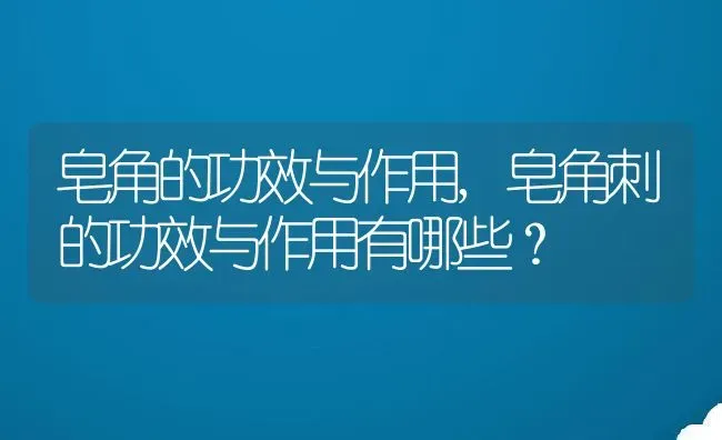 皂角的功效与作用,皂角刺的功效与作用有哪些？ | 养殖常见问题