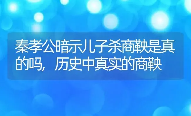 秦孝公暗示儿子杀商鞅是真的吗,历史中真实的商鞅 | 养殖常见问题