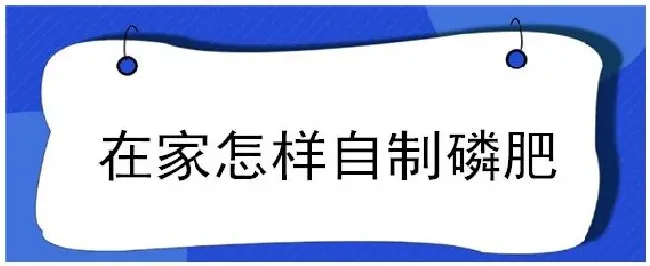 在家怎样自制磷肥 | 农业常识