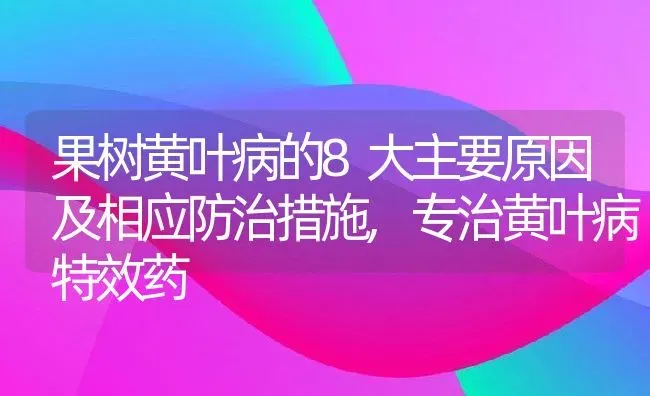 果树黄叶病的8大主要原因及相应防治措施,专治黄叶病特效药 | 养殖常见问题