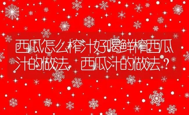 西瓜怎么榨汁好喝鲜榨西瓜汁的做法,西瓜汁的做法？ | 养殖常见问题