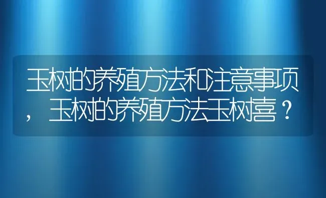 玉树的养殖方法和注意事项,玉树的养殖方法玉树喜？ | 养殖常见问题