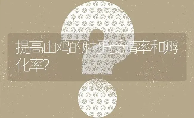 提高山鸡的种蛋受精率和孵化率? | 养殖问题解答