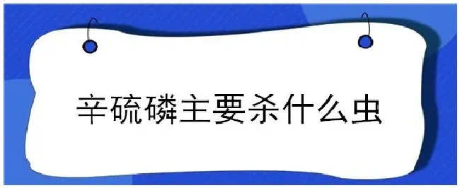 辛硫磷主要杀什么虫 | 三农答疑