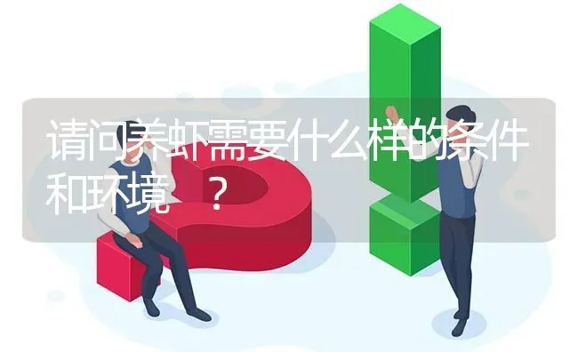 请问养虾需要什么样的条件和环境 ? | 养殖问题解答