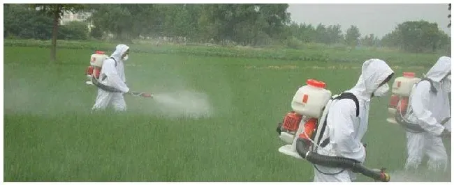 除草药打多久下雨还有效果 | 三农问答