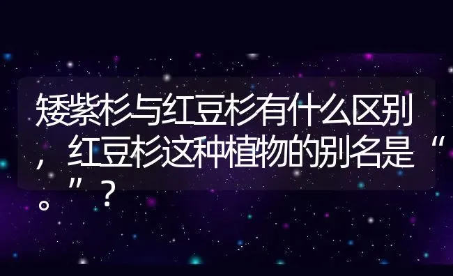 矮紫杉与红豆杉有什么区别,红豆杉这种植物的别名是“。”？ | 养殖常见问题