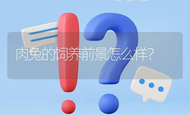 肉兔的饲养前景怎么样? | 养殖问题解答