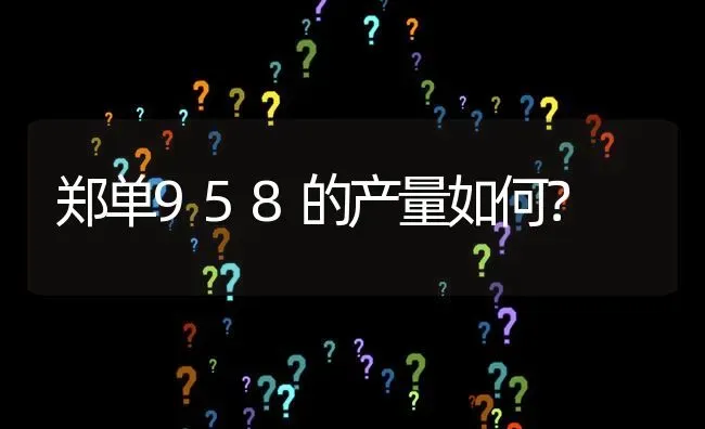 郑单958的产量如何? | 养殖问题解答