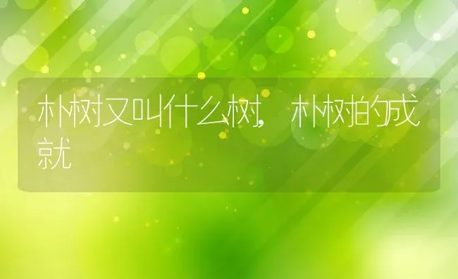 大绿萝怎么养,大绿萝怎么养 | 养殖常见问题