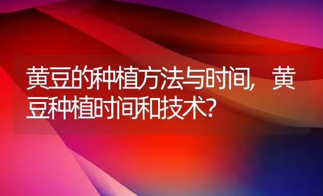 黄豆的种植方法与时间,黄豆种植时间和技术？ | 养殖常见问题